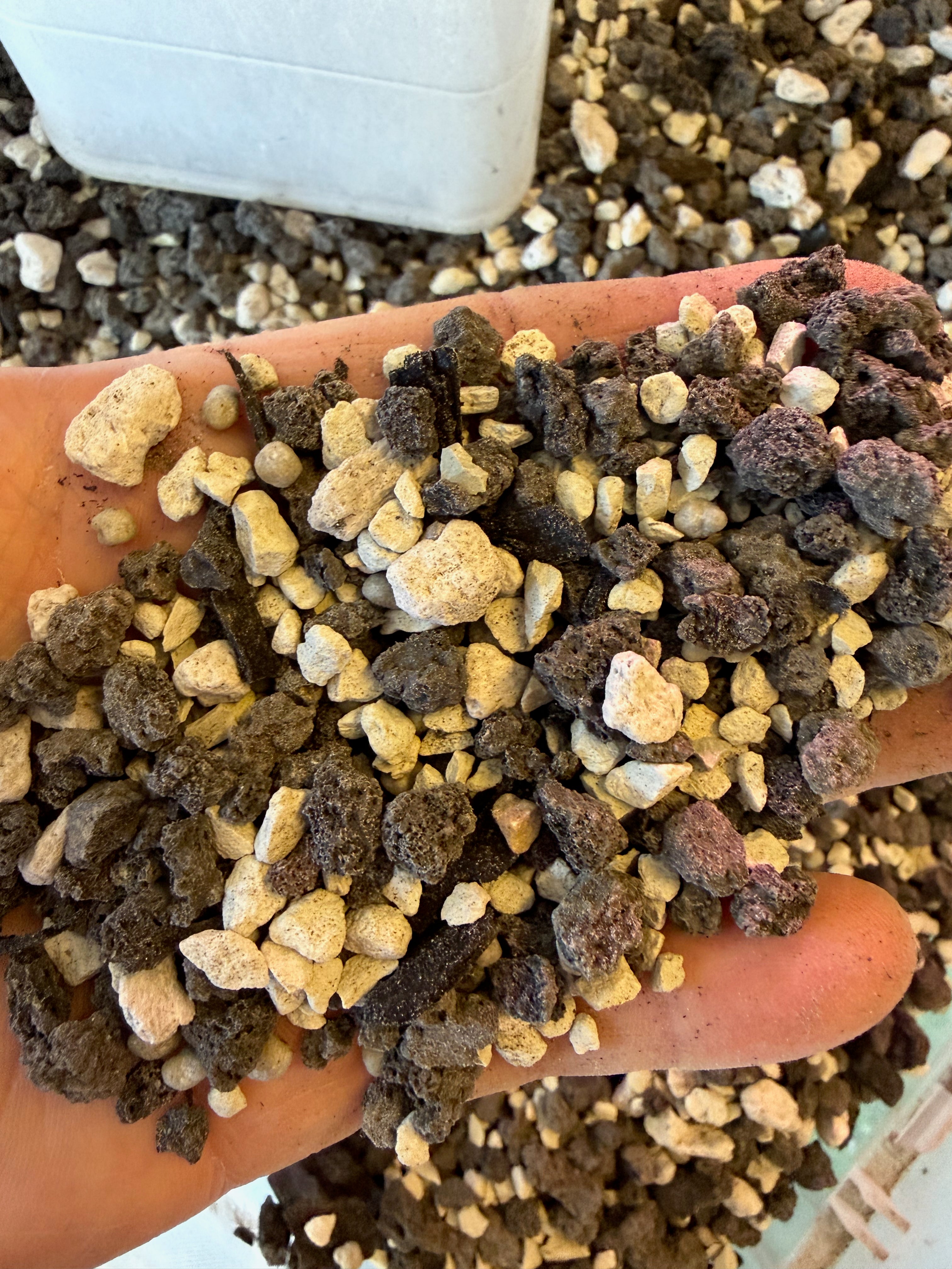 pon potting mix 20lb Pon Mix – Buz Plants